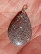 Pink Agatized Dinosaur Bone (Gembone) Teardrop Pendant #54087-3